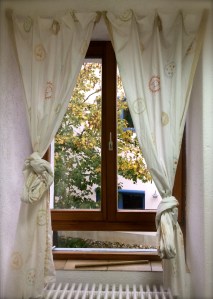 Autumn at the classroom window